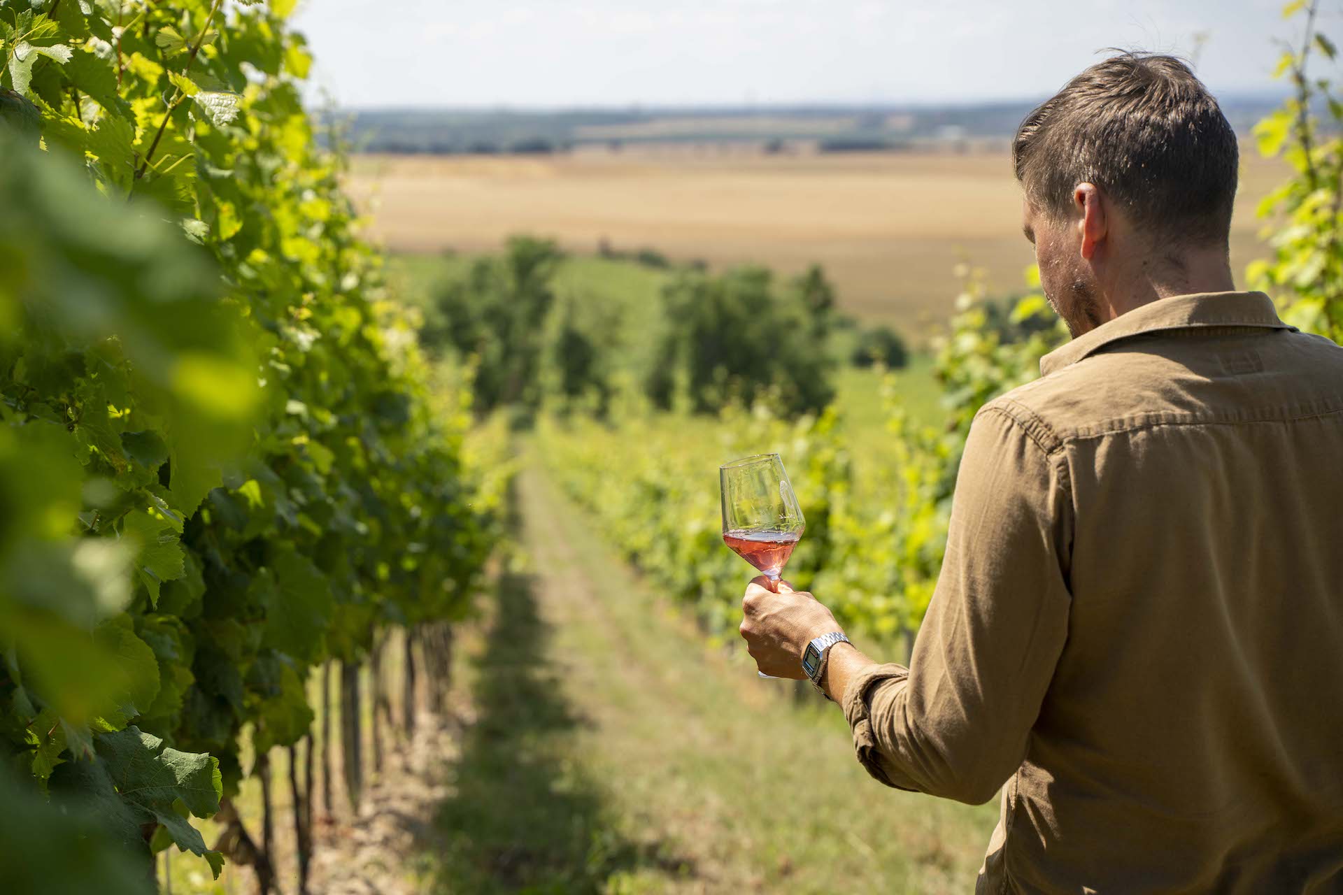 anton uhnák vinárstvo čajkov tekov